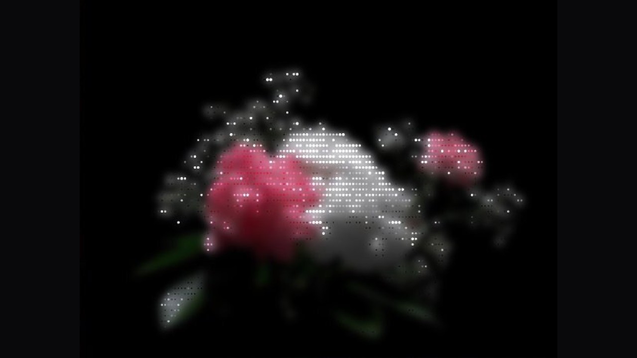 Flowers rendered as bright dots on a dark background