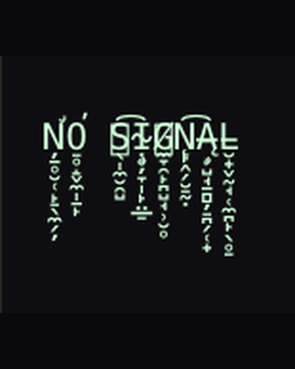 NO SIGNAL as an actual competitor glitch example